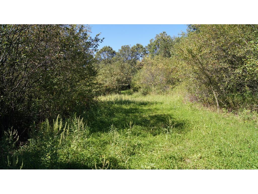 0 County Road Eleva, WI 54738 - Photo 1 of 1