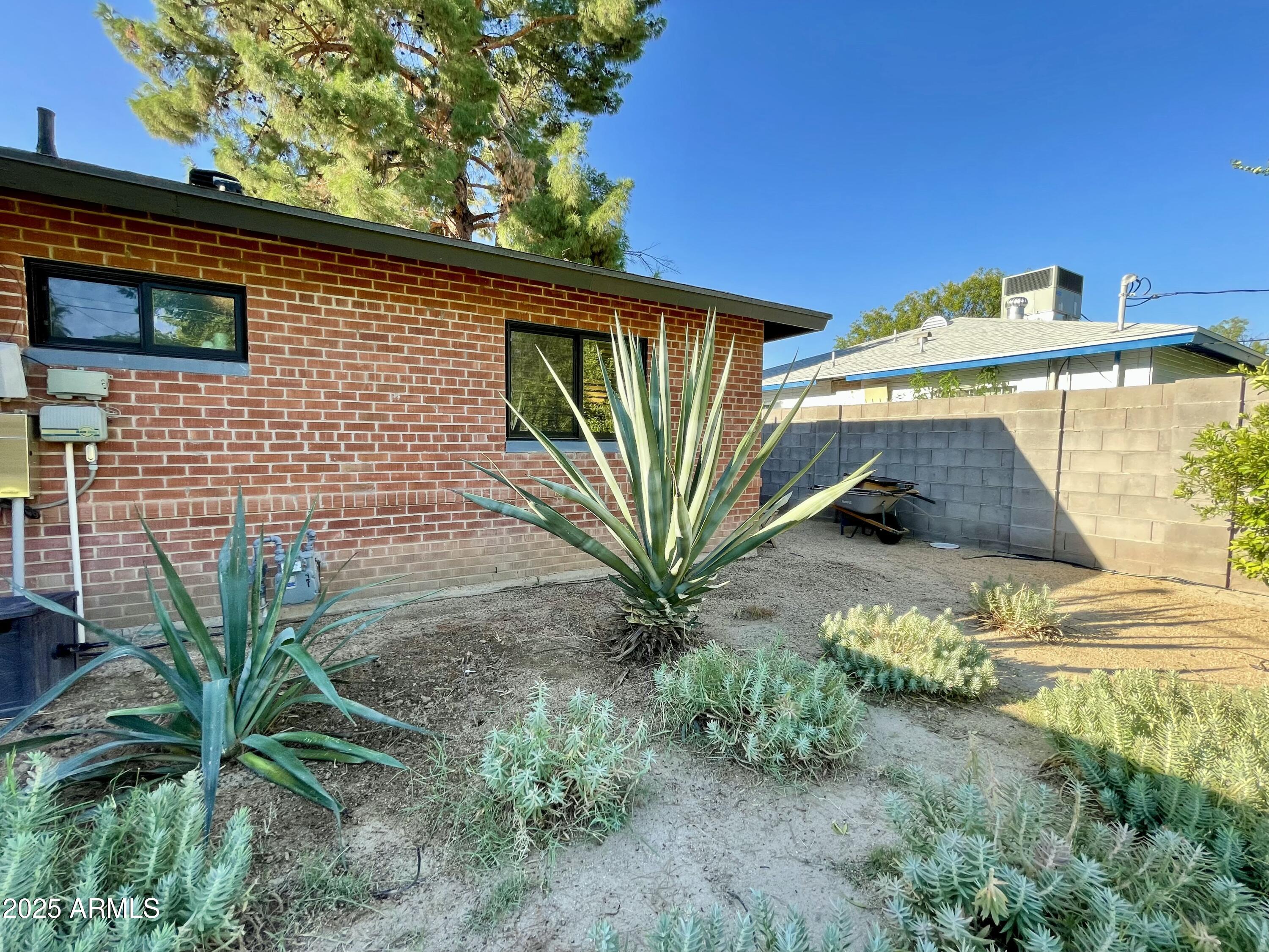 1520 West Berridge Lane Phoenix, AZ 85015 - Photo 44 of 46 a view of a backyard with plants