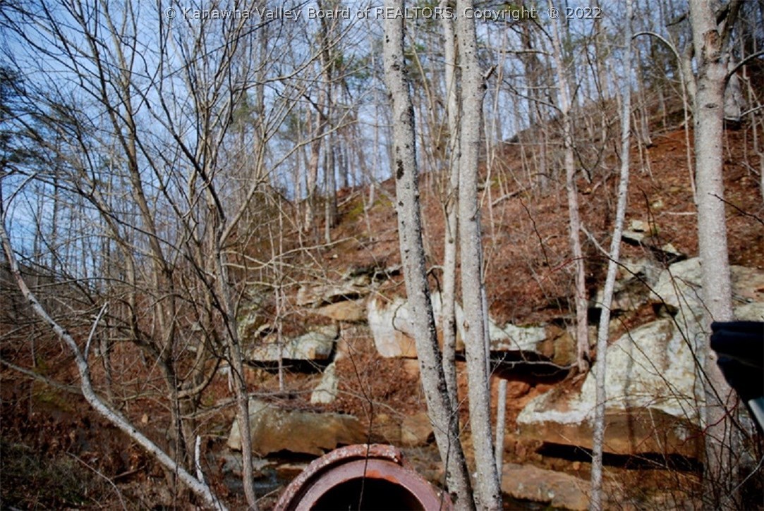 1579 Beech Fork Road Leon, WV 25123 - Photo 19 of 20 Gallery Image 19