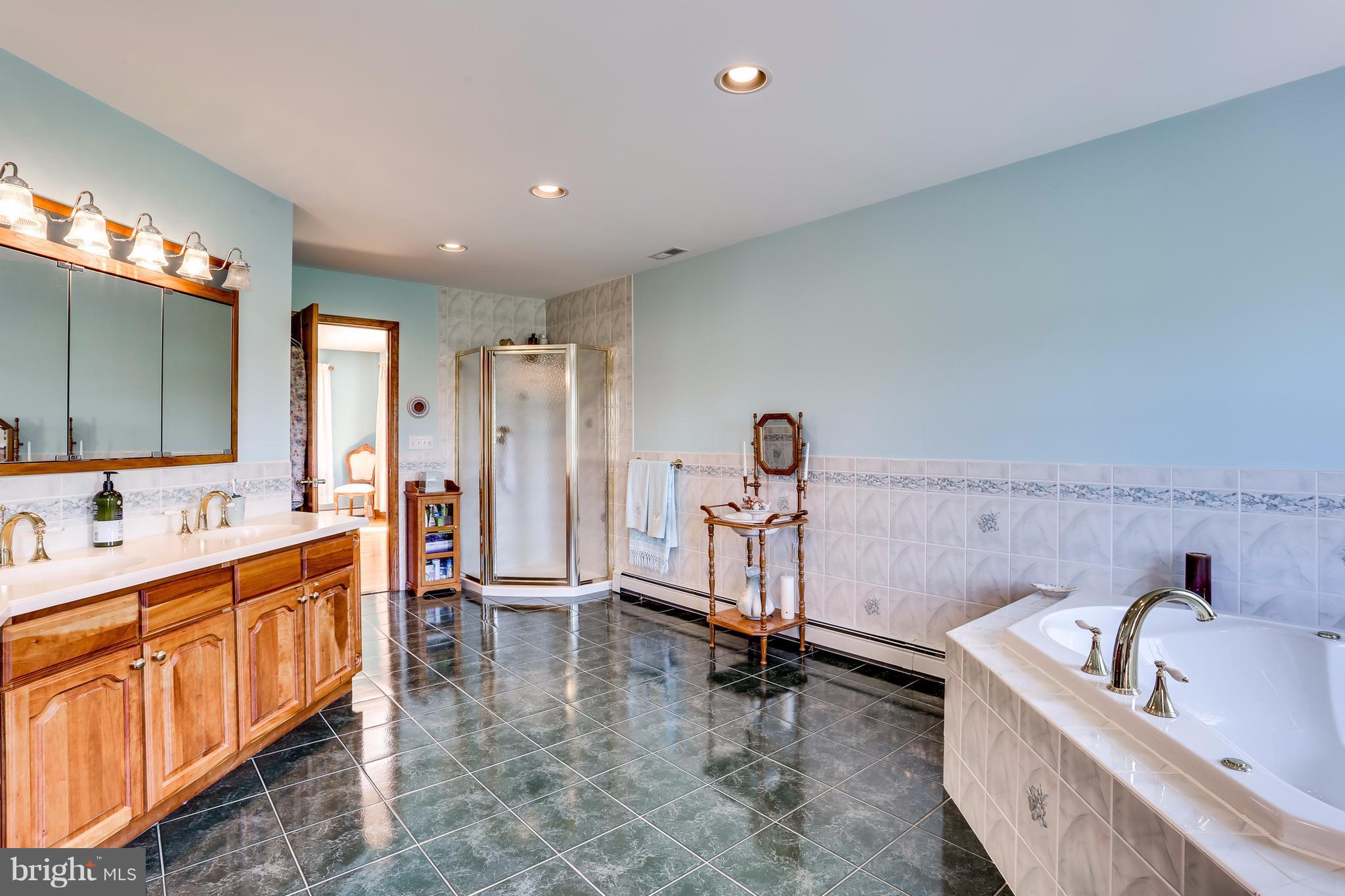17194 Hardy Road Mount Airy, MD 21771 - Photo 25 of 29 Bath (Master)