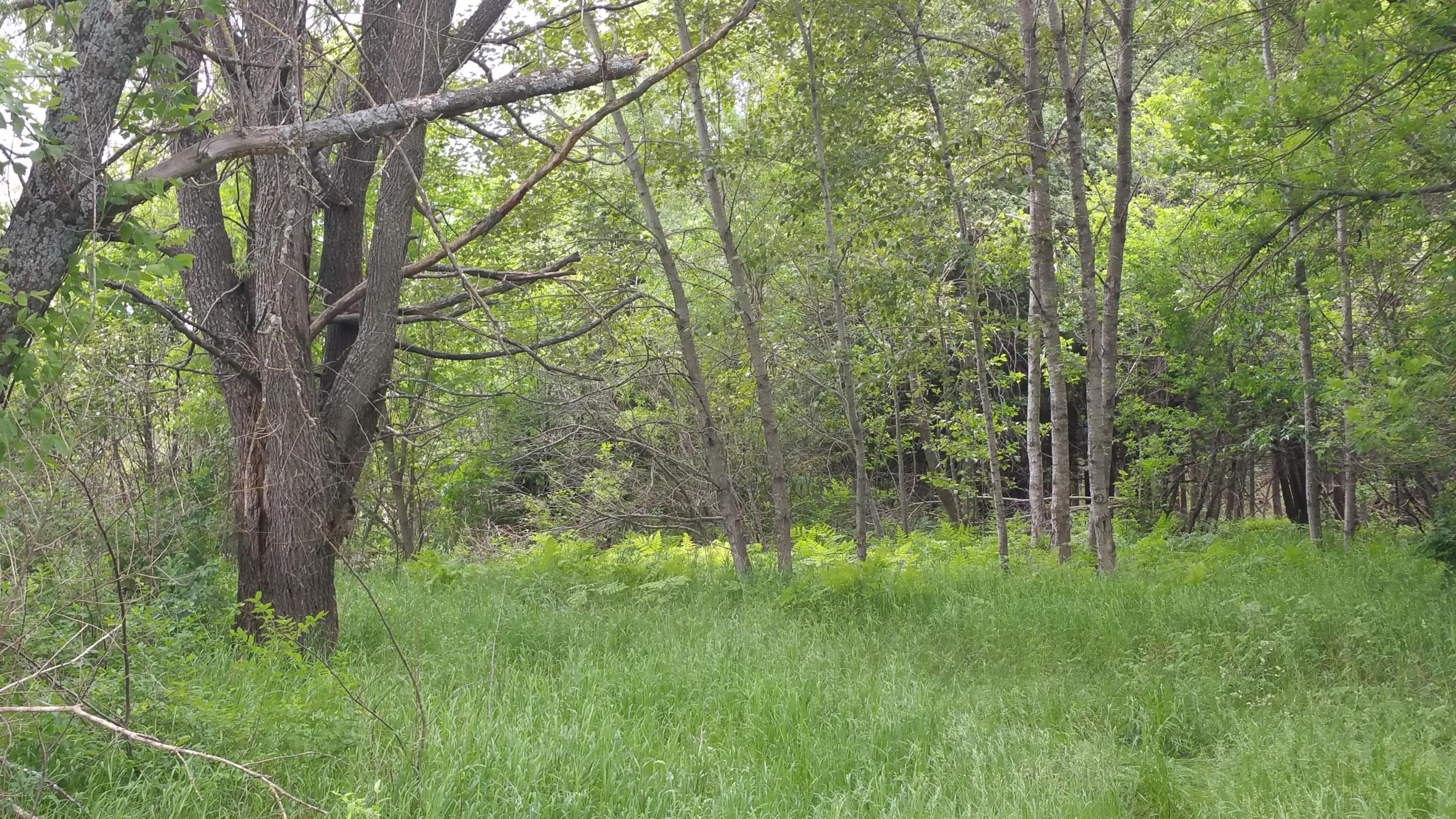 1657 Mapes Road Mio, MI 48647 - Photo 28 of 36 Gallery Image 28