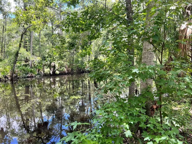 $425,000 | 1528 Palm Street, Steinhatchee, FL 32359