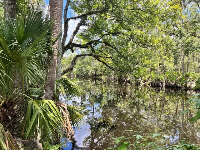 $425,000 | 1528 Palm Street, Steinhatchee, FL 32359