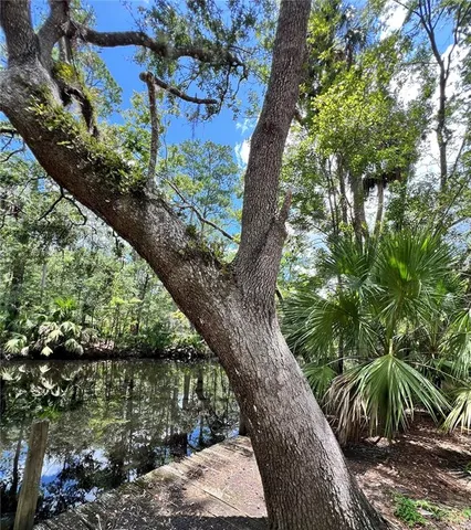 $425,000 | 1528 Palm Street, Steinhatchee, FL 32359