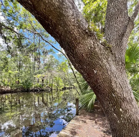 $425,000 | 1528 Palm Street, Steinhatchee, FL 32359