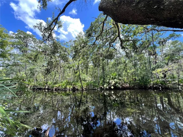 $425,000 | 1528 Palm Street, Steinhatchee, FL 32359