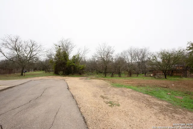 a view of a yard with trees