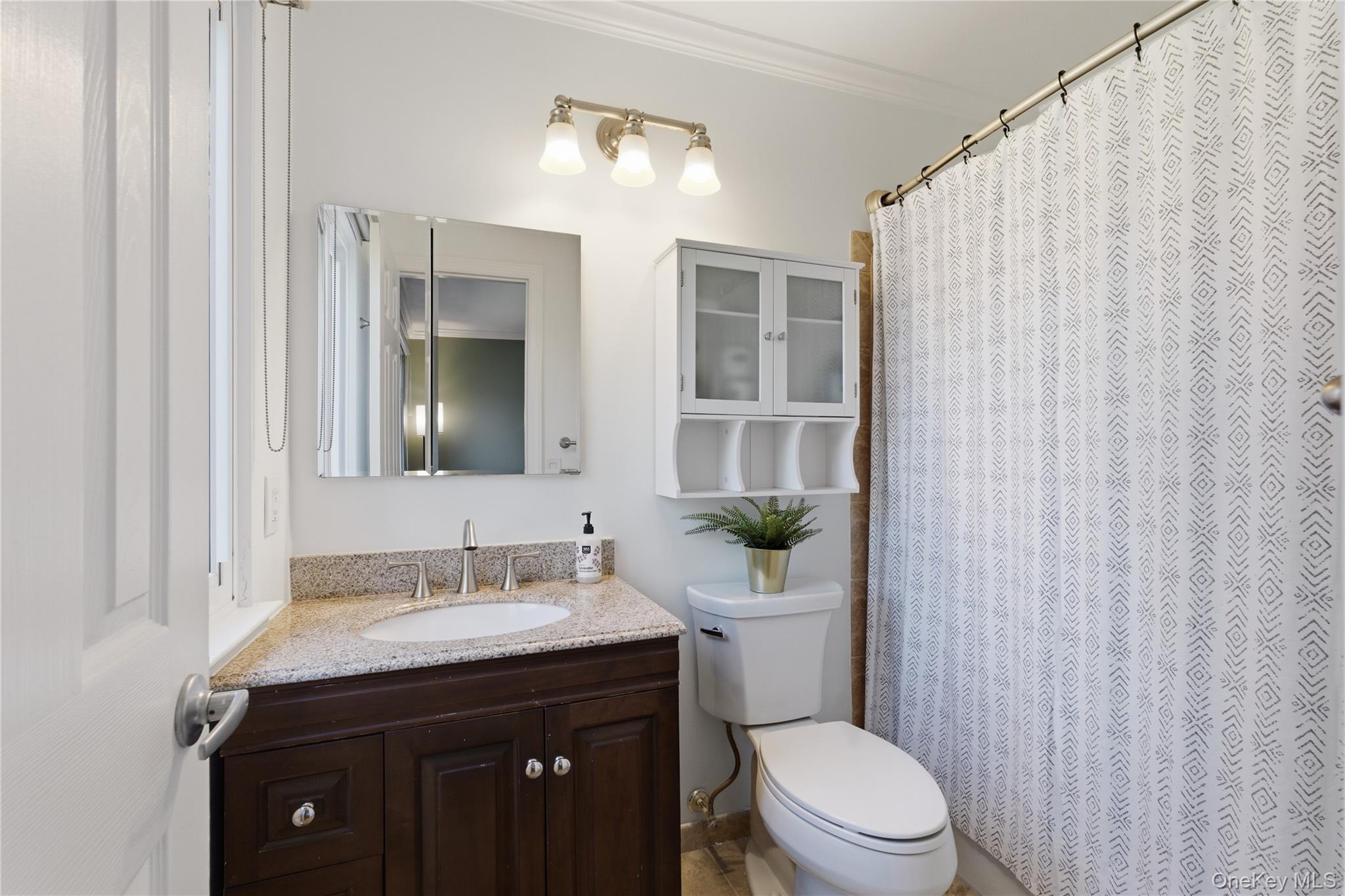 245 Tree Top Crescent Rye Brook, NY 10573 - Photo 9 of 24 a bathroom with a granite countertop sink toilet and shower