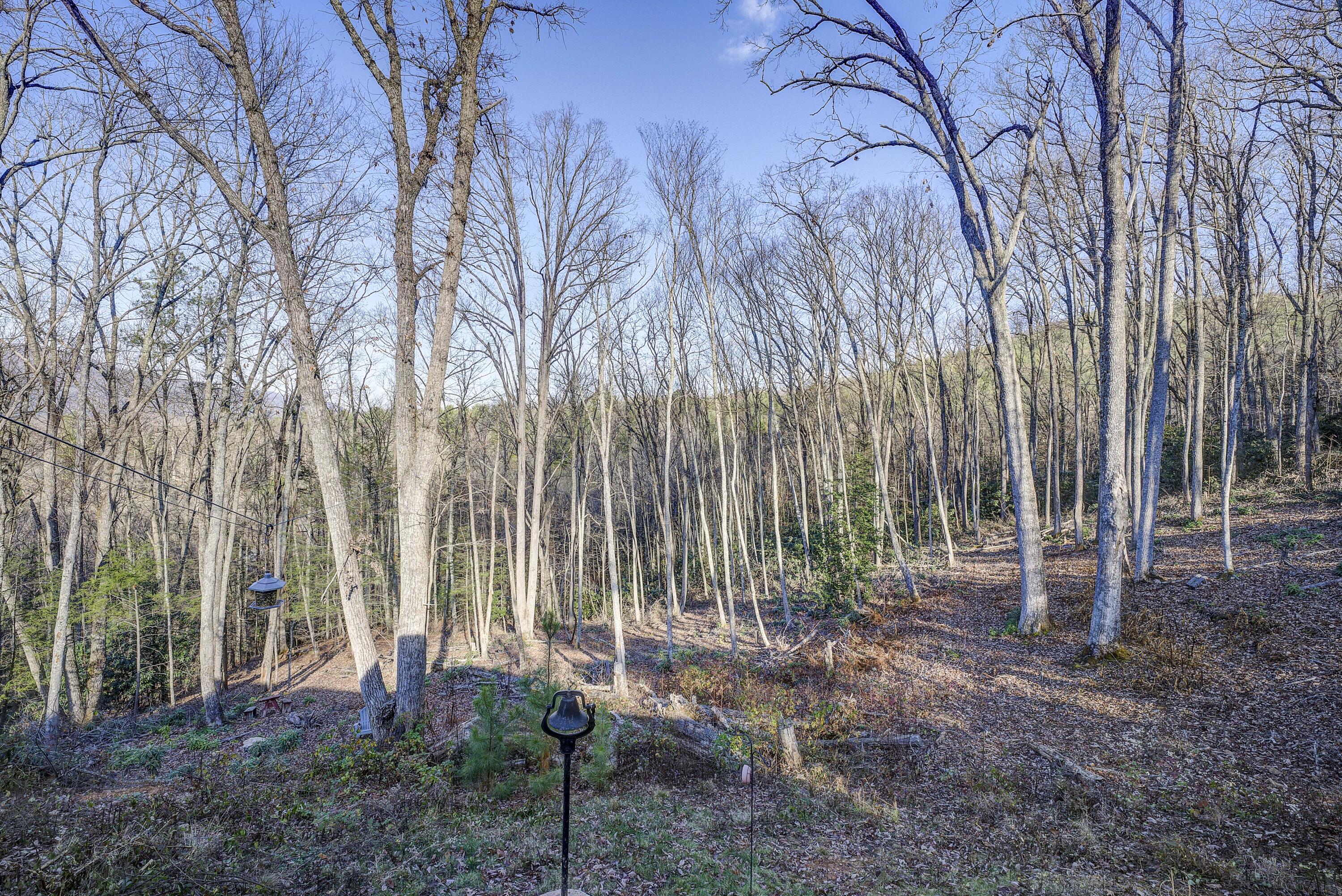 111 Oak Ridge Road Erwin, TN 37650 - Photo 35 of 52 OakRidge-22