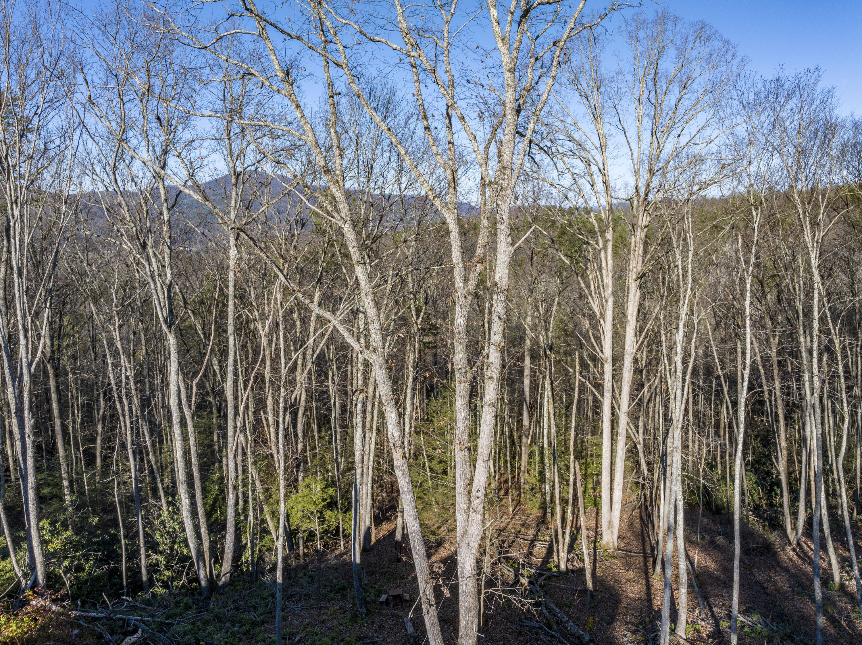 111 Oak Ridge Road Erwin, TN 37650 - Photo 38 of 52 OakRidgeAerials-7