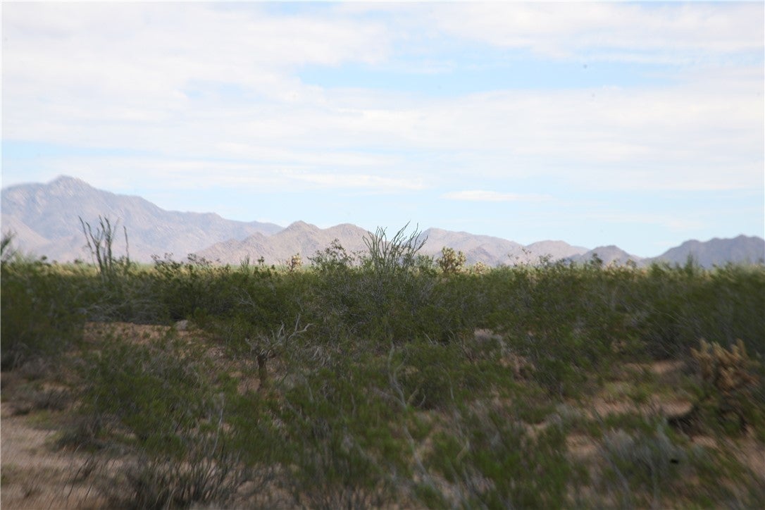243-15-016 South Custer Road, Unit 3491 Yucca, AZ 86438 - Photo 60 of 61 Gallery Image 60