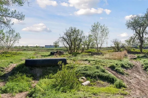 a view of a field with an ocean