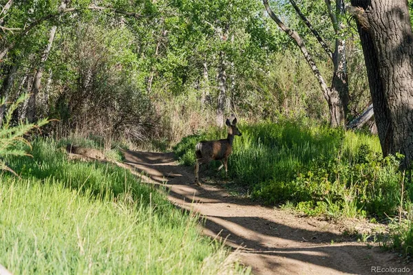 a view of a lake from a yard