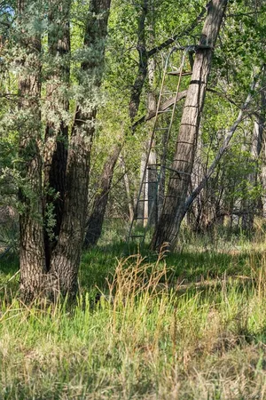 $2,100,000 | 16880-16885 Old Pueblo Road, Fountain, CO 80817