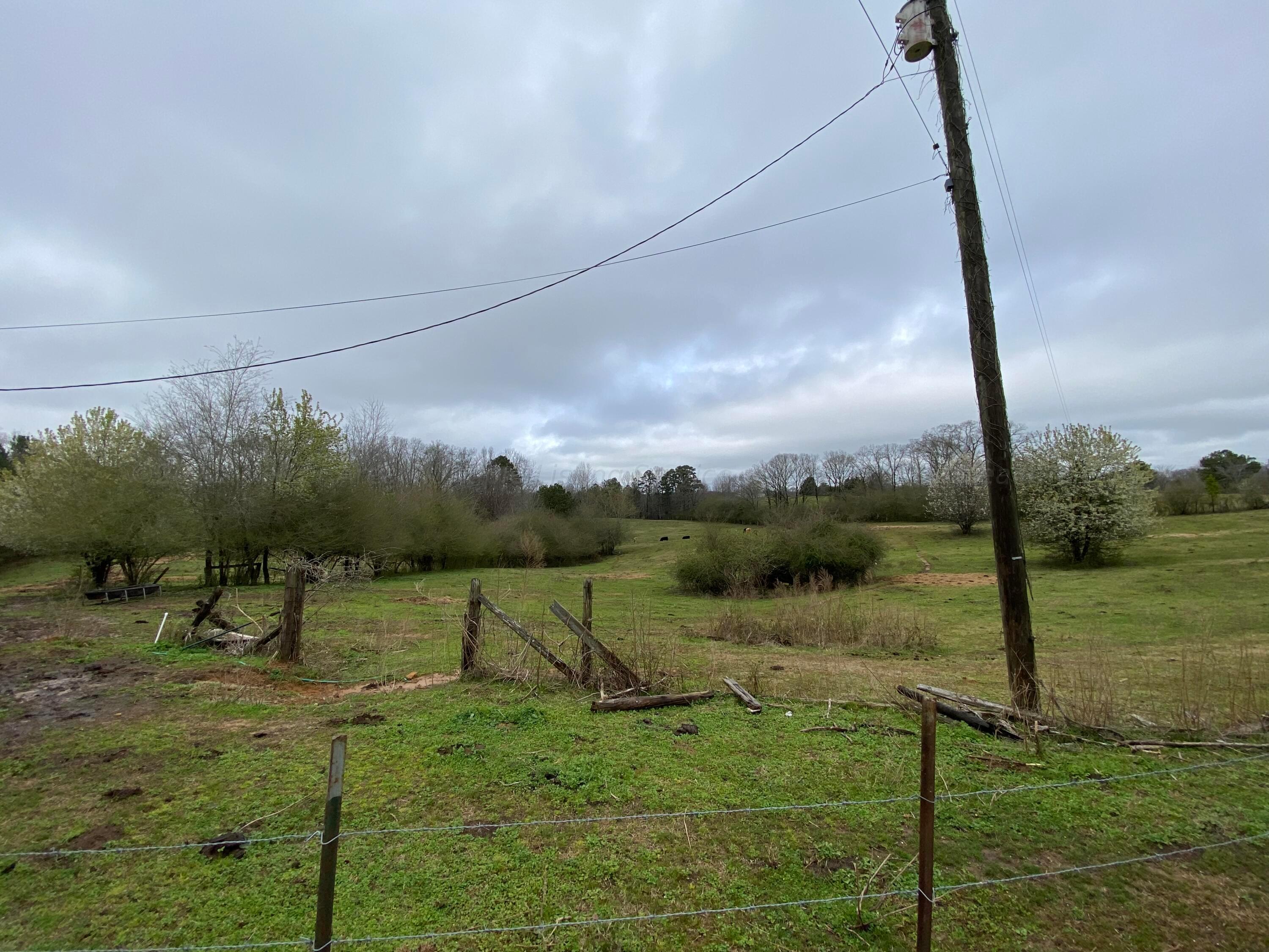 Lamon Chapel Road Jasper, AL 35503 - Photo 3 of 4 Gallery Image 3