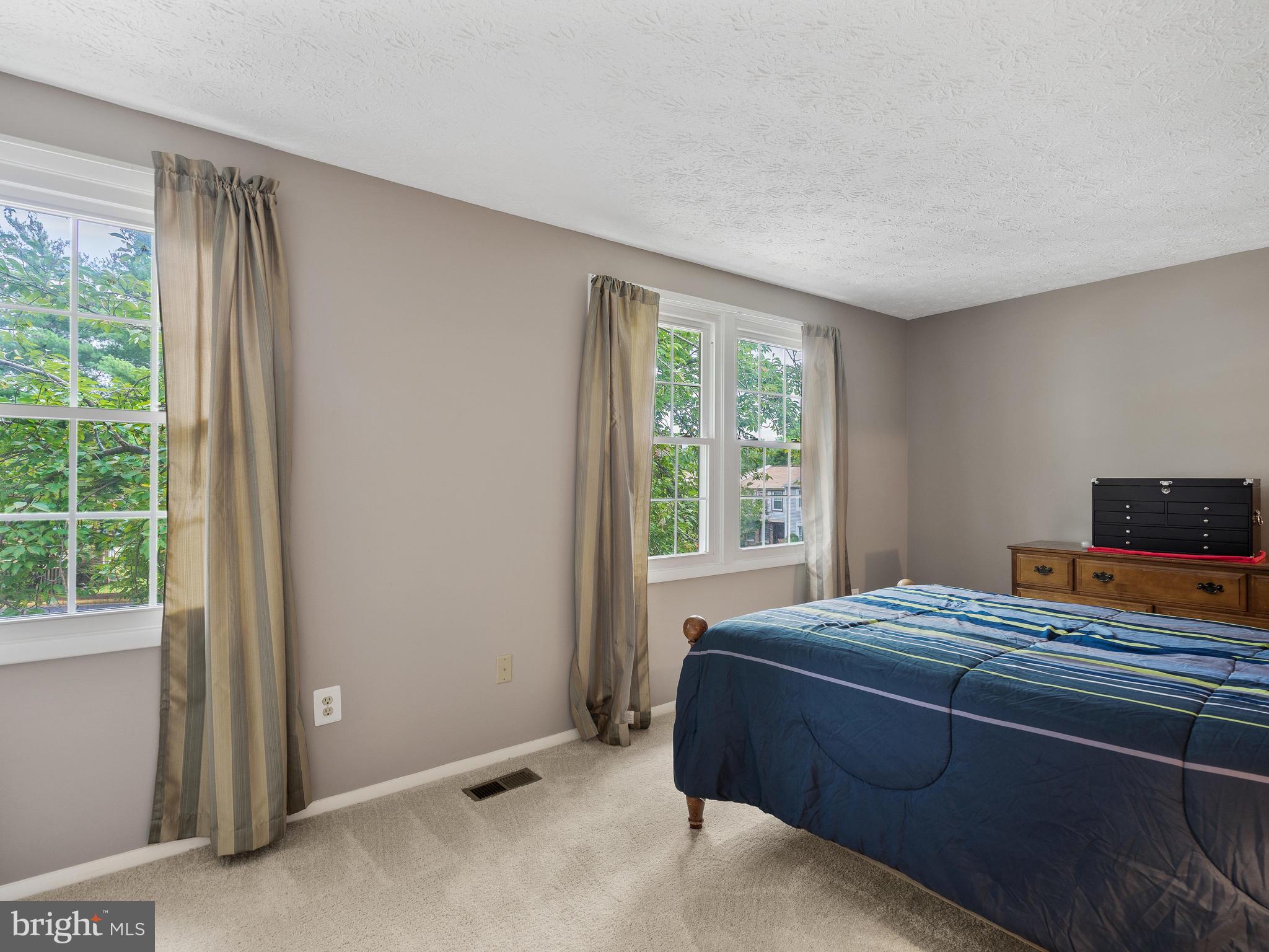 8297 Bark Tree Court Springfield, VA 22153 - Photo 12 of 26 Master bedroom.