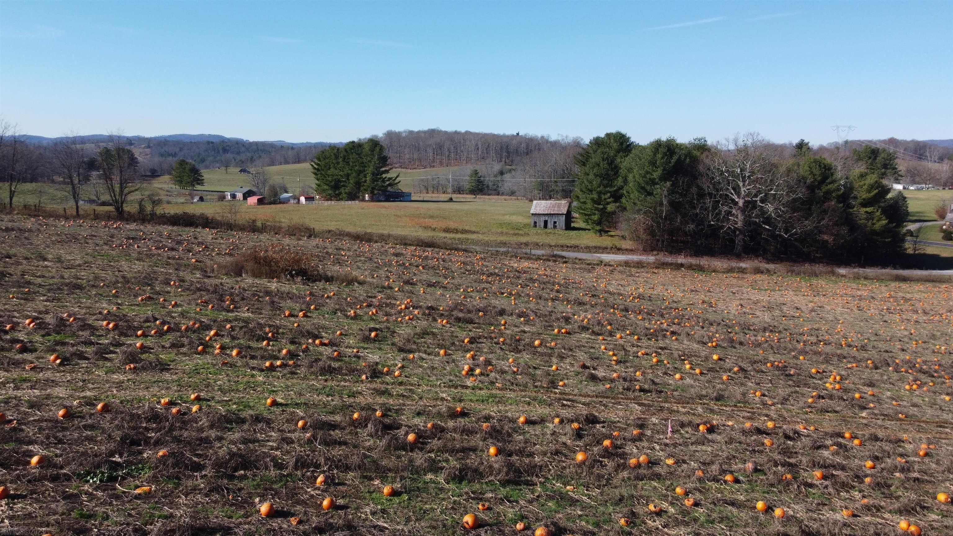0 Long Level Road Southwest Floyd, VA 24091 - Photo 12 of 17 Gallery Image 12