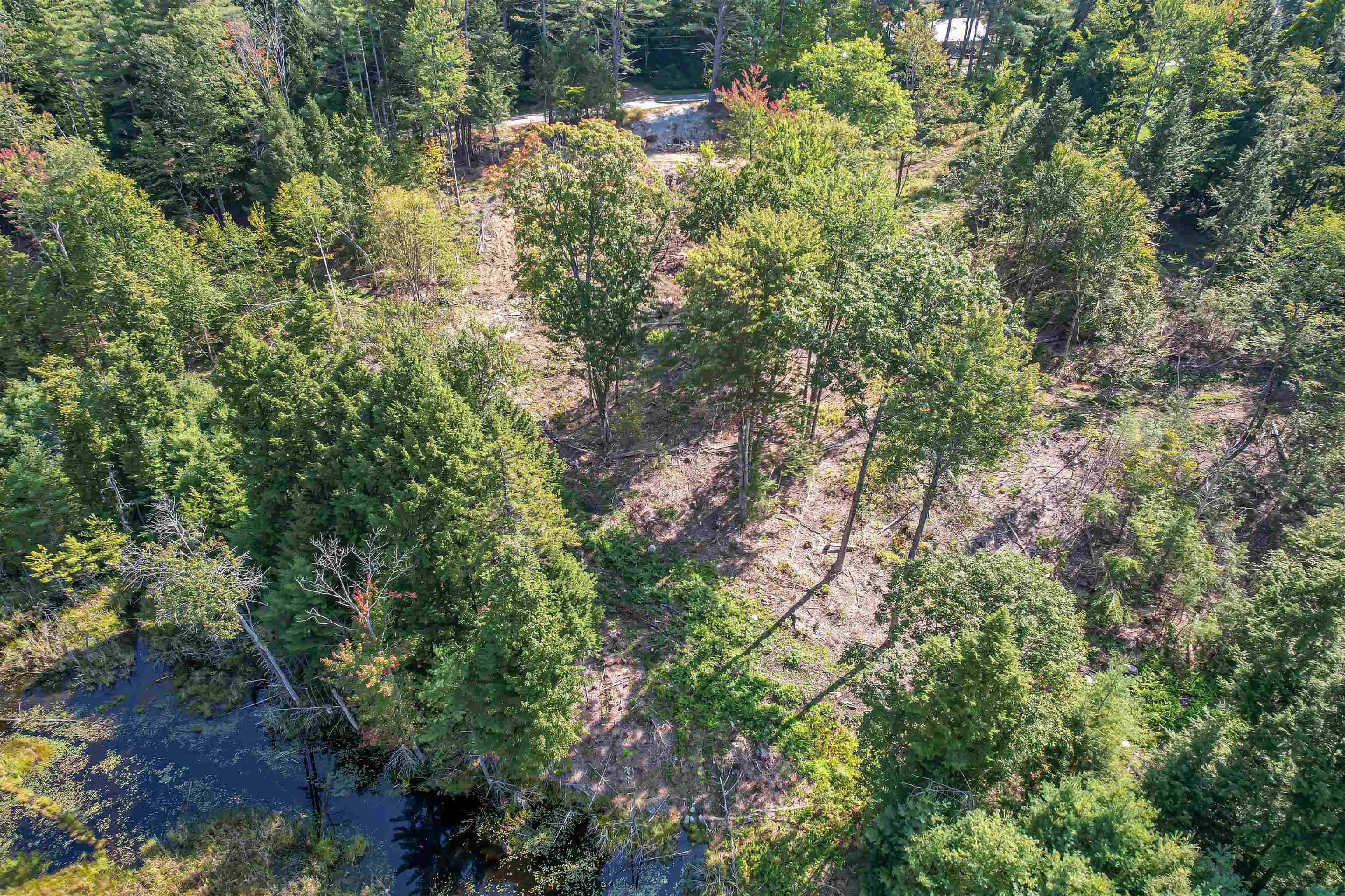127 Blake Hill Road, Unit 1 New Hampton, NH 03256 - Photo 5 of 13