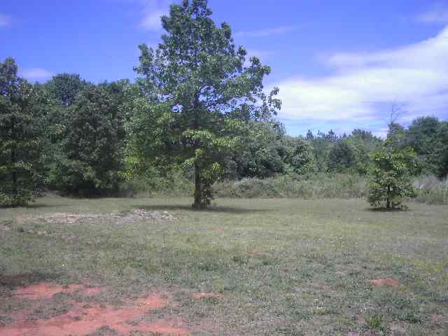 105 La Paz Street Pendleton, SC 29670 - Photo 9 of 9