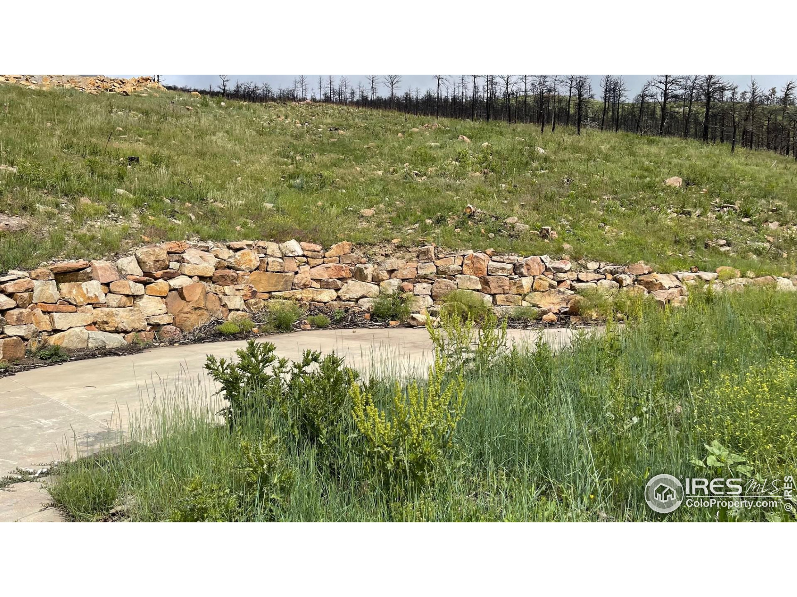 9634 Mountain Ridge Drive Boulder, CO 80302 - Photo 3 of 5