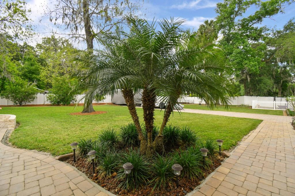 849 John Cressler Drive Seffner, FL 33584 - Photo 38 of 45 a view of backyard with green space