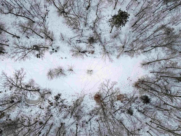 $649,000 | N4094 Whitney Road, Warrens, WI 54666