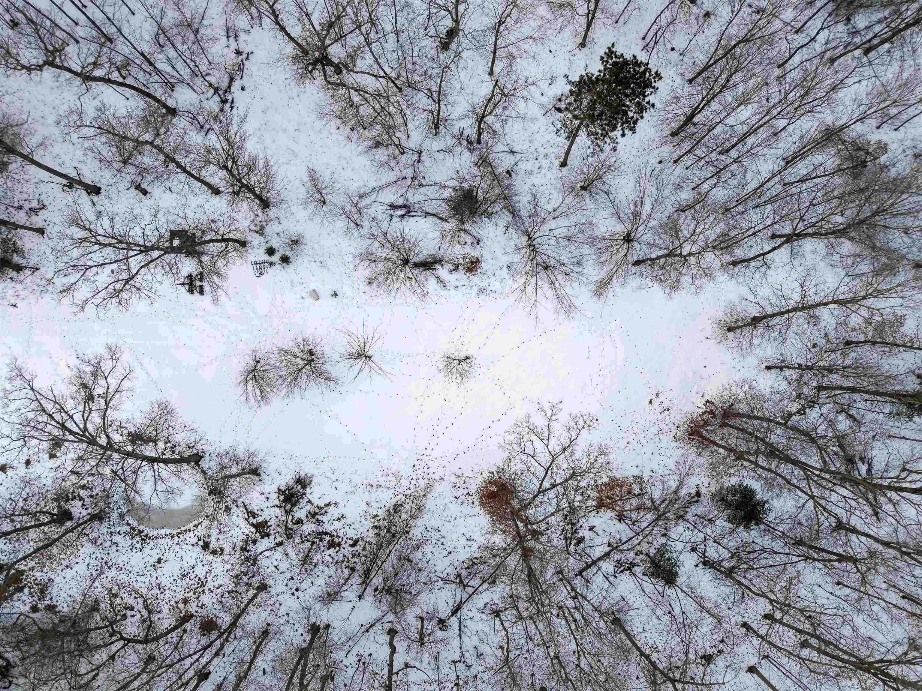 N4094 Whitney Road Warrens, WI 54666 - Photo 34 of 86