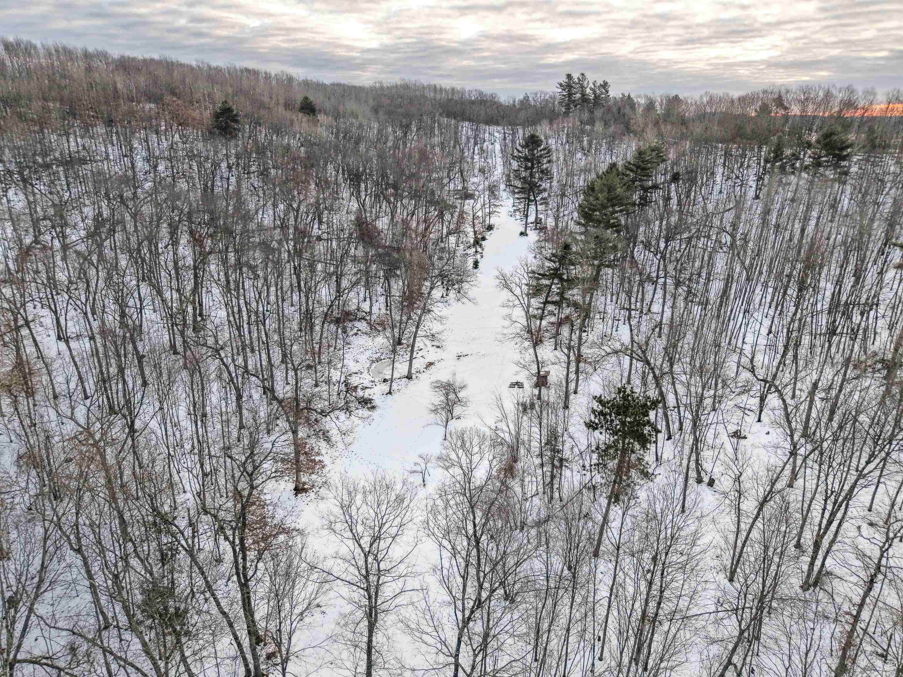N4094 Whitney Road Warrens, WI 54666 - Photo 37 of 86