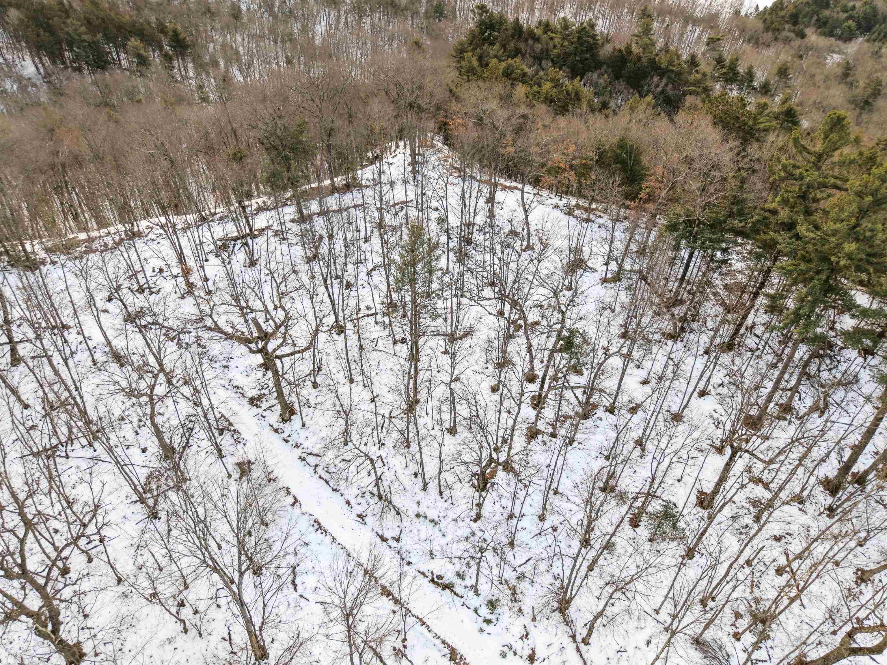 N4094 Whitney Road Warrens, WI 54666 - Photo 40 of 86