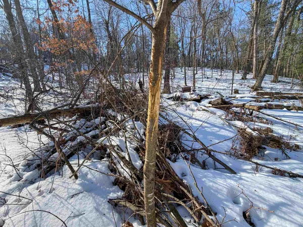 $649,000 | N4094 Whitney Road, Warrens, WI 54666