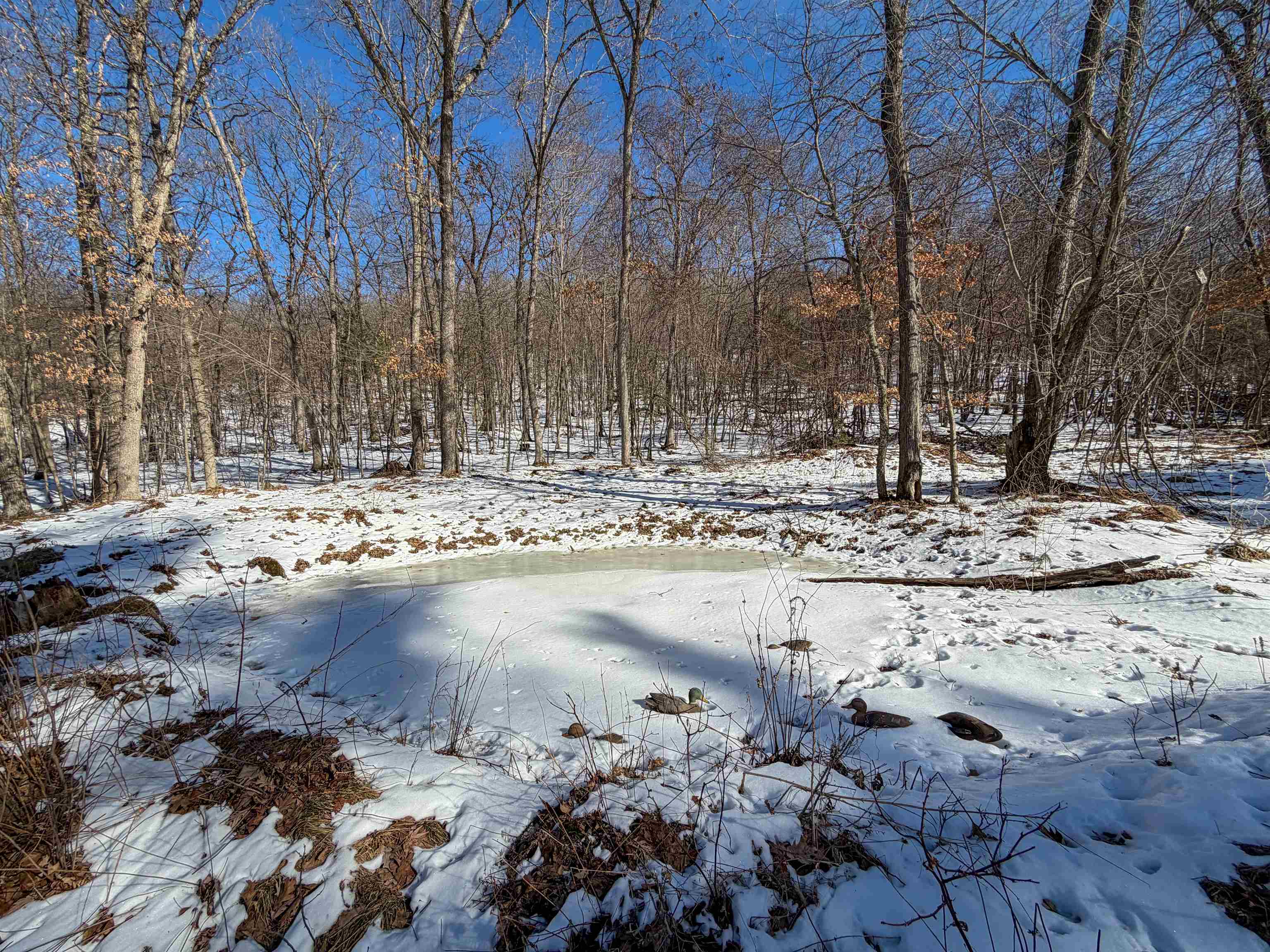 N4094 Whitney Road Warrens, WI 54666 - Photo 51 of 86