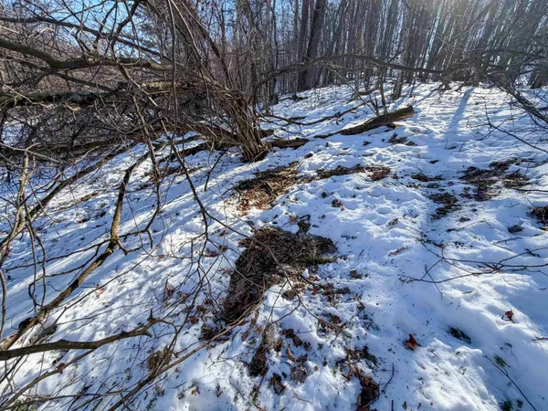 $649,000 | N4094 Whitney Road, Warrens, WI 54666