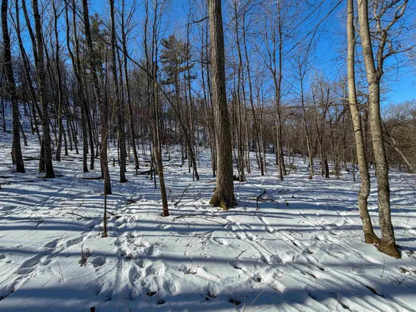 $649,000 | N4094 Whitney Road, Warrens, WI 54666