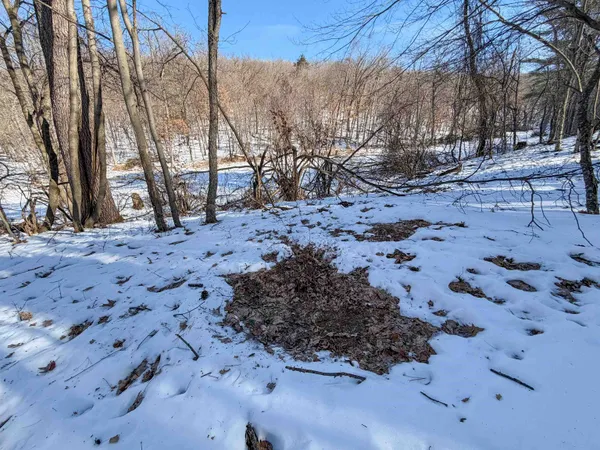 $649,000 | N4094 Whitney Road, Warrens, WI 54666