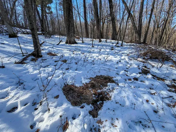 $649,000 | N4094 Whitney Road, Warrens, WI 54666