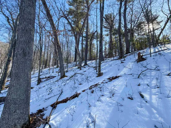 $649,000 | N4094 Whitney Road, Warrens, WI 54666