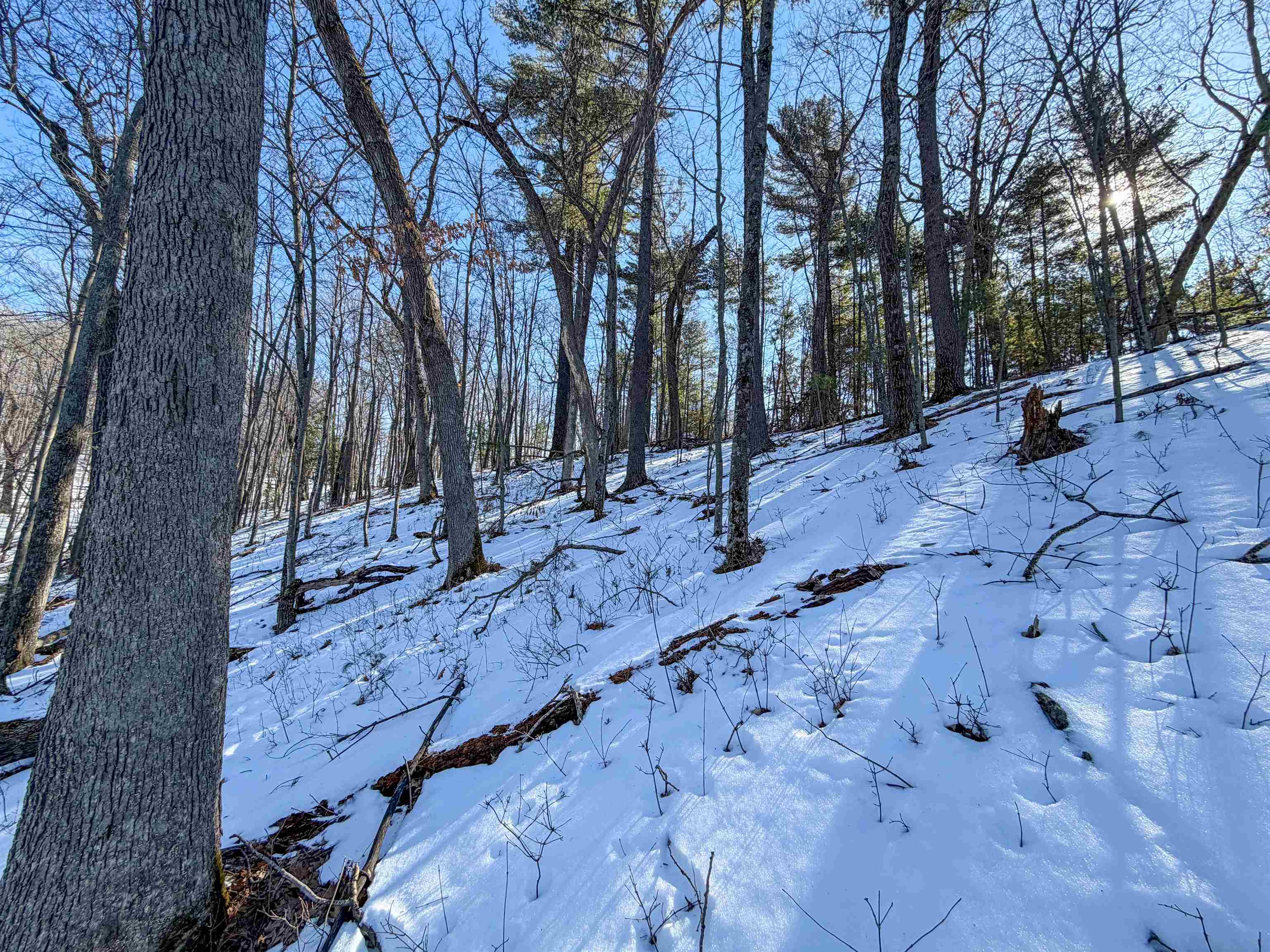 N4094 Whitney Road Warrens, WI 54666 - Photo 62 of 86