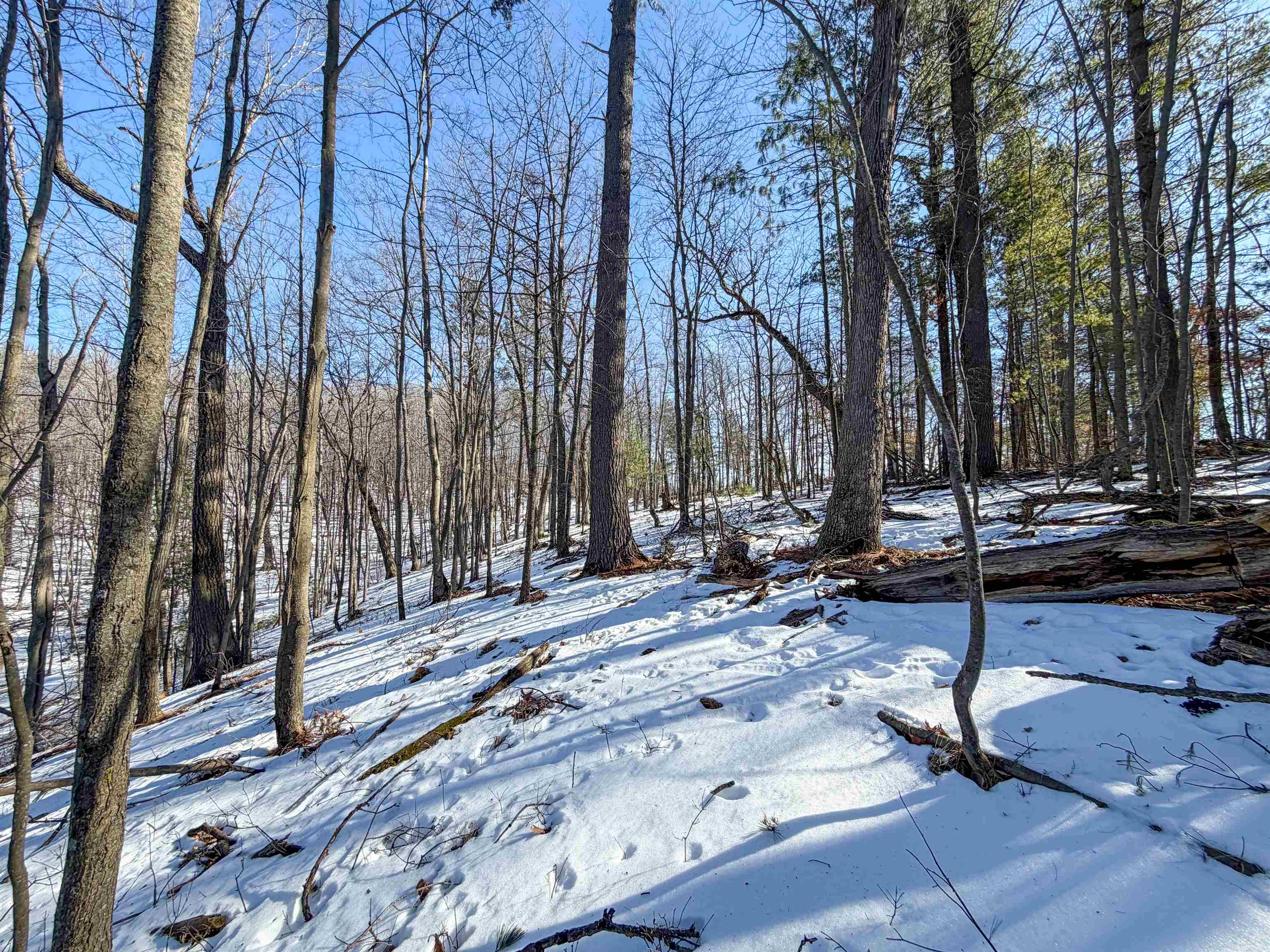 N4094 Whitney Road Warrens, WI 54666 - Photo 63 of 86