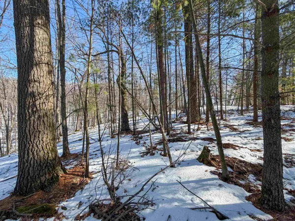 $649,000 | N4094 Whitney Road, Warrens, WI 54666