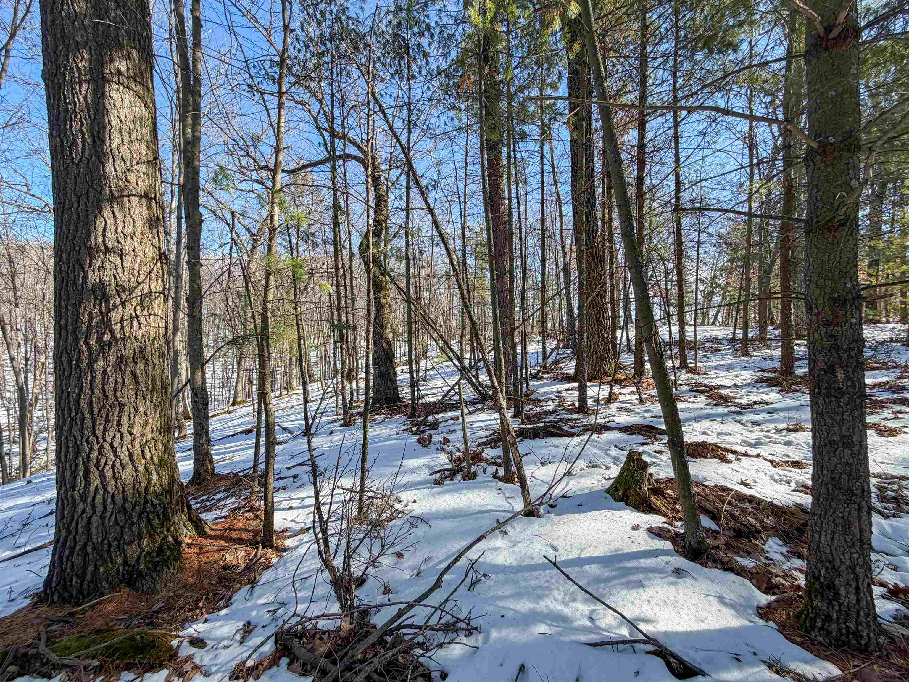 N4094 Whitney Road Warrens, WI 54666 - Photo 64 of 86