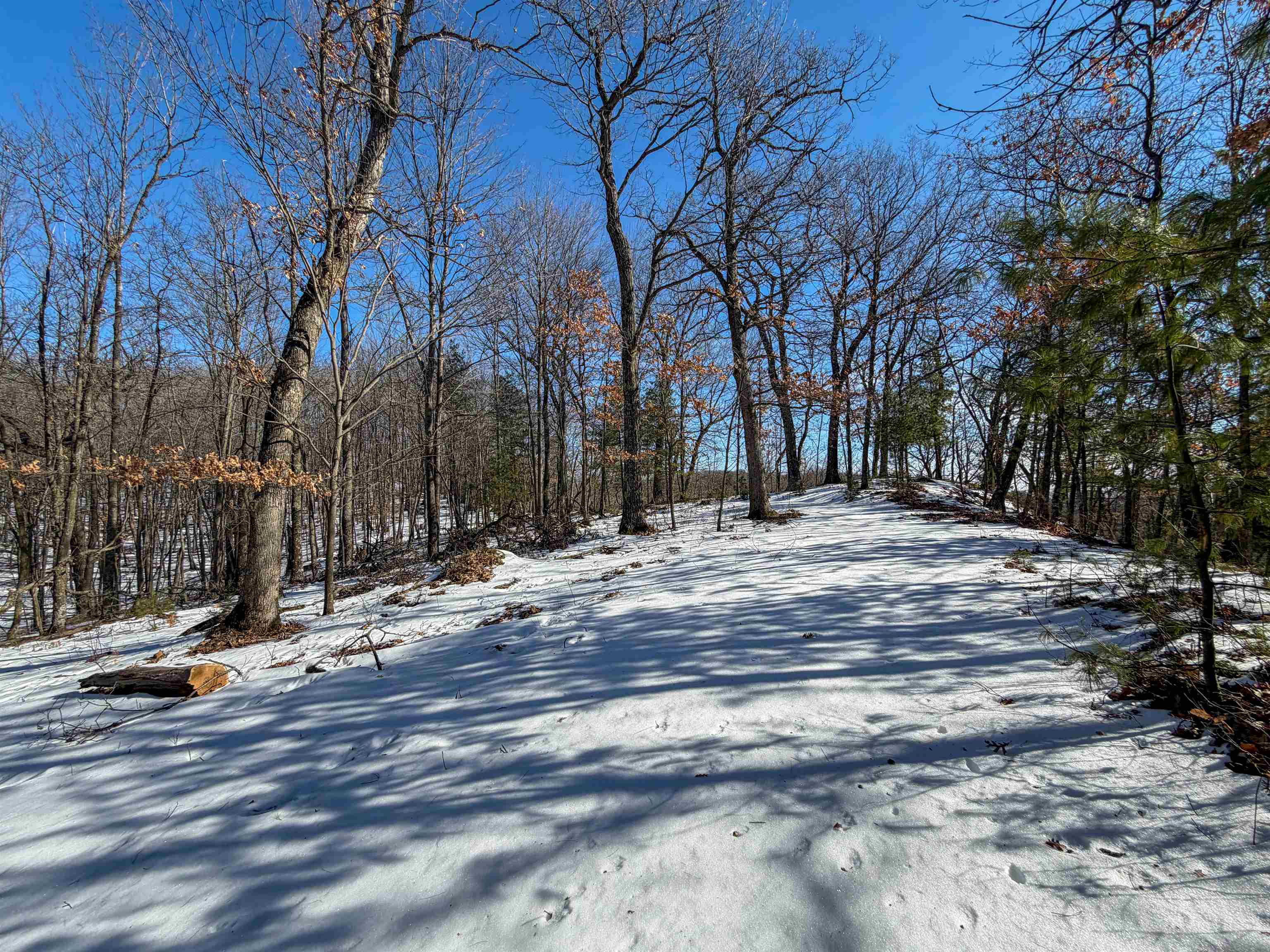 N4094 Whitney Road Warrens, WI 54666 - Photo 65 of 86