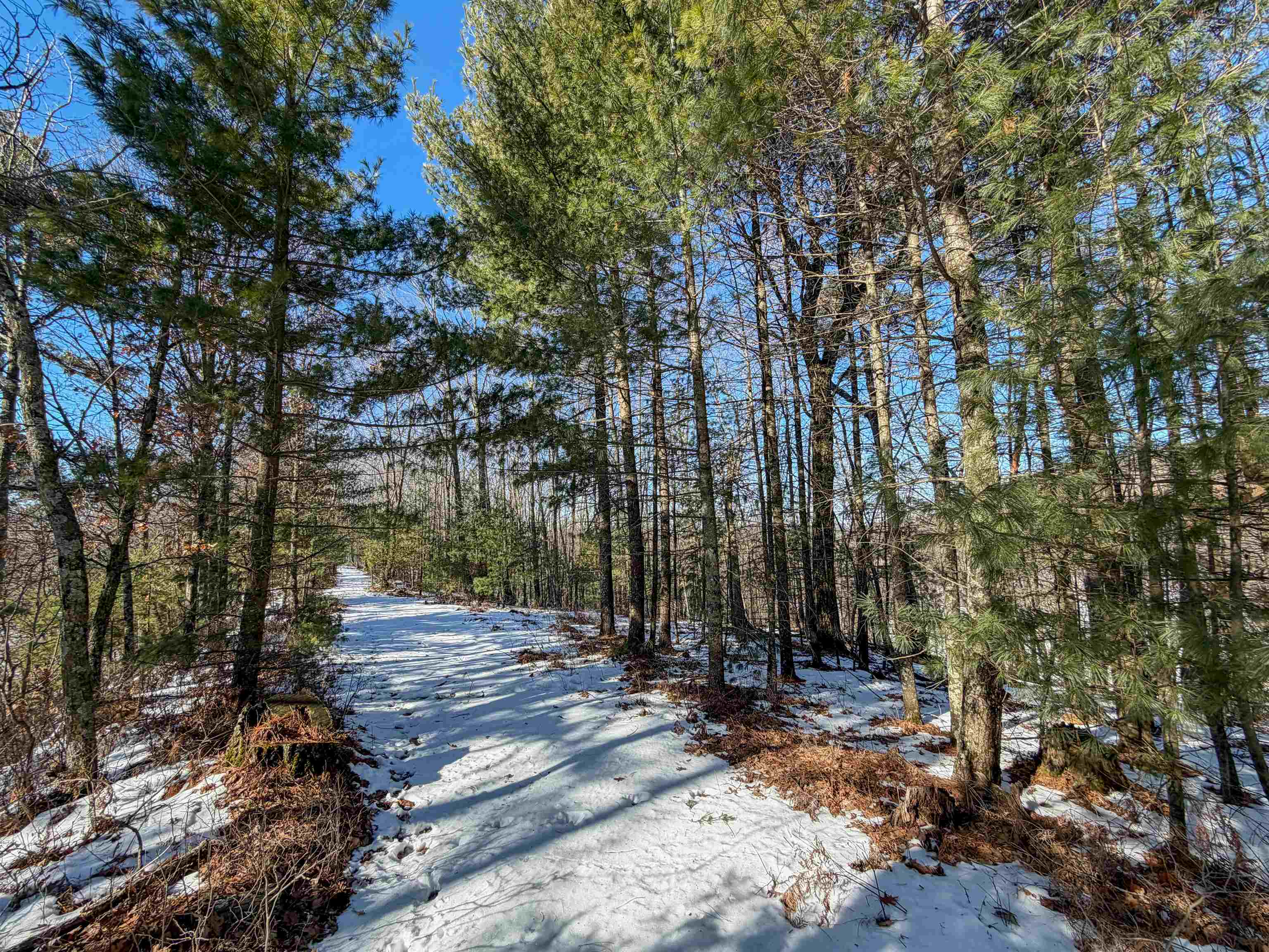 N4094 Whitney Road Warrens, WI 54666 - Photo 70 of 86