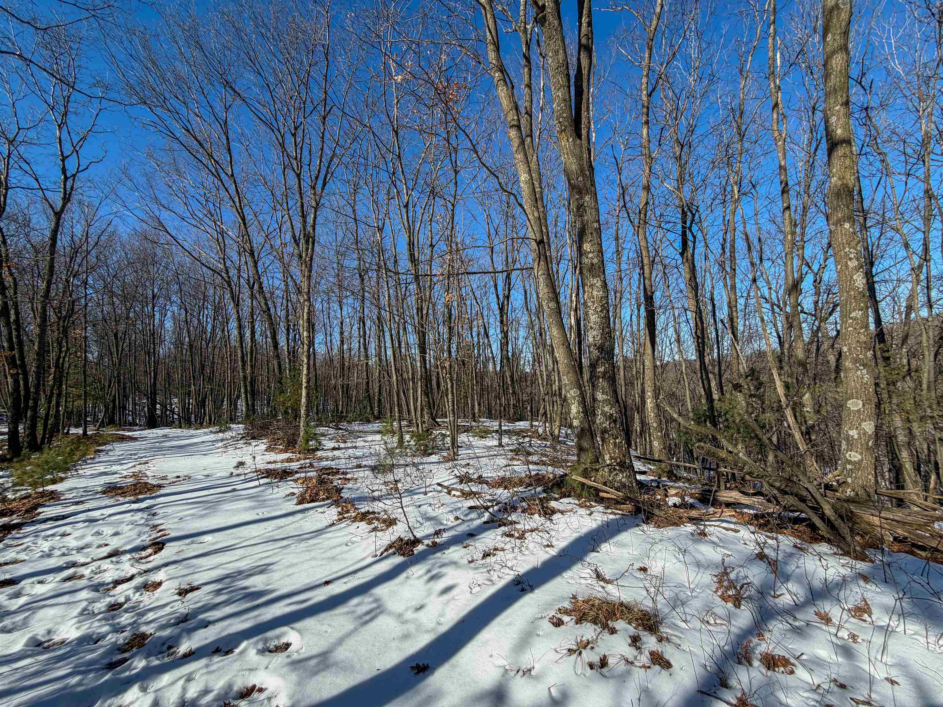 N4094 Whitney Road Warrens, WI 54666 - Photo 72 of 86