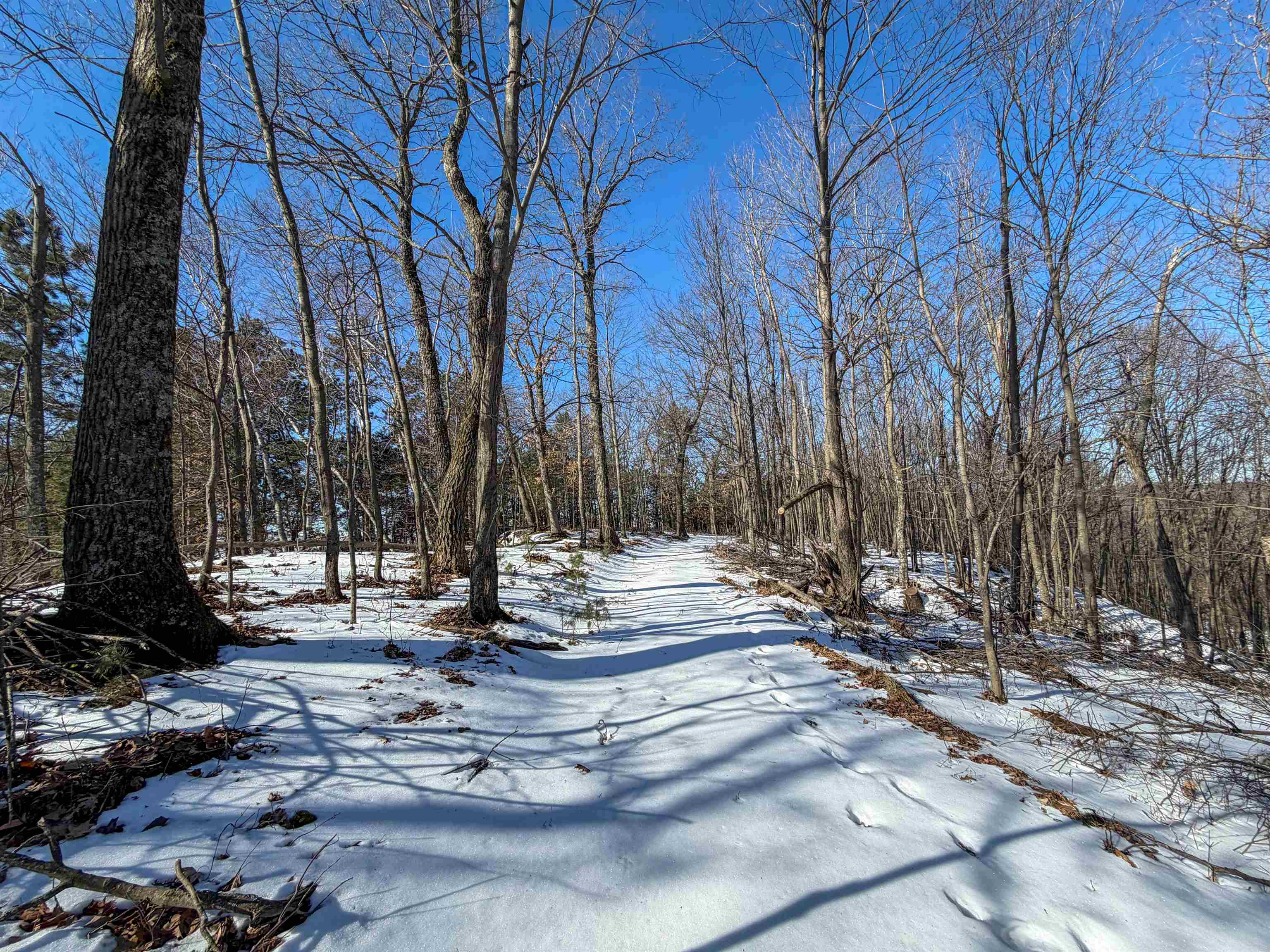 N4094 Whitney Road Warrens, WI 54666 - Photo 74 of 86