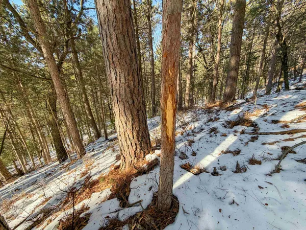 $649,000 | N4094 Whitney Road, Warrens, WI 54666