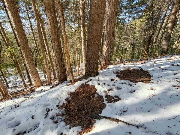 $649,000 | N4094 Whitney Road, Warrens, WI 54666