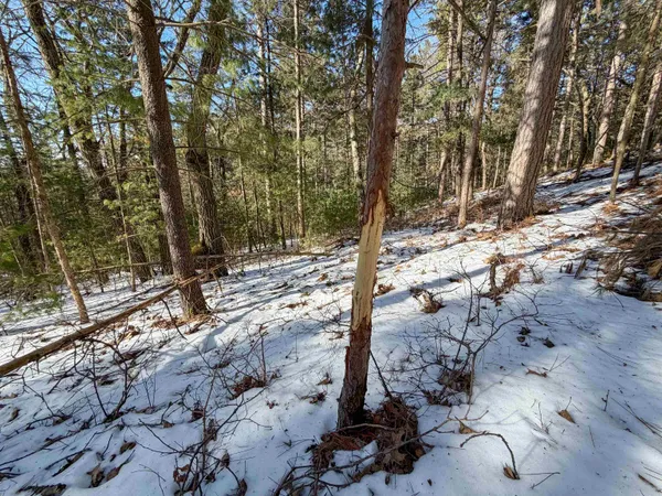 $649,000 | N4094 Whitney Road, Warrens, WI 54666