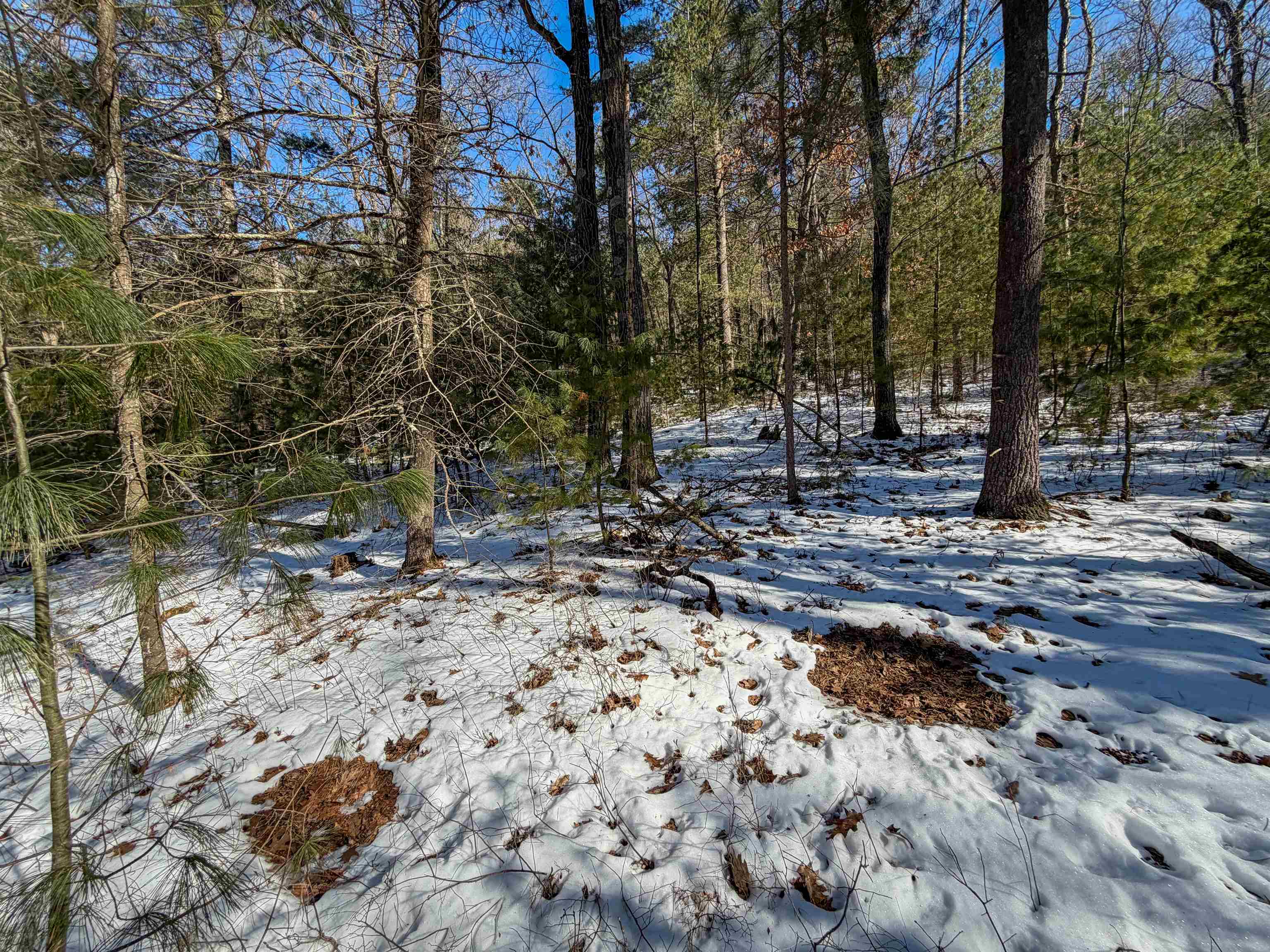 N4094 Whitney Road Warrens, WI 54666 - Photo 79 of 86