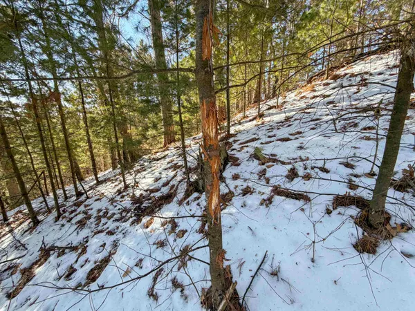 $649,000 | N4094 Whitney Road, Warrens, WI 54666