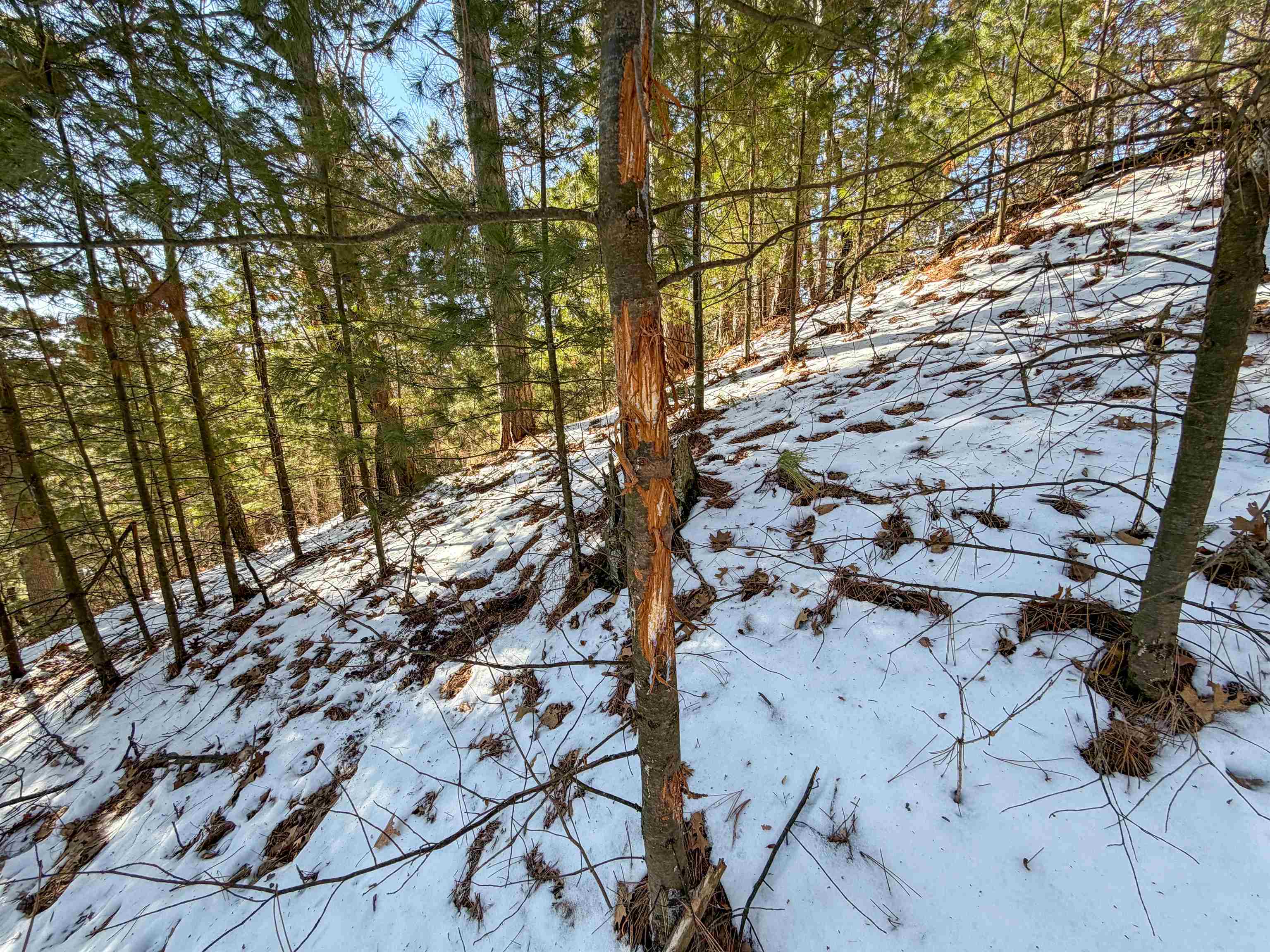 N4094 Whitney Road Warrens, WI 54666 - Photo 81 of 86